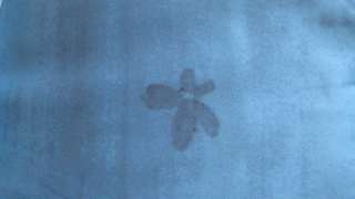 APT. 9 Dusk Floral Fabric Shower Curtain Soft Blue & Gray NEW  