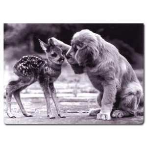  Golden Puppy and Fawn Friendship Card 