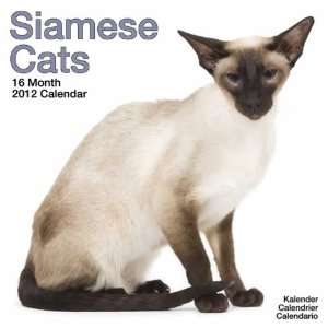  Siamese Cats 2012 Wall Calendar