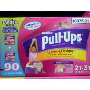  Huggies Pull Ups Learning Designs 2T 3T 90 Ct Everything 