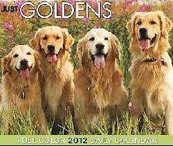 Just Goldens 2012 Calendar (Calendar)  