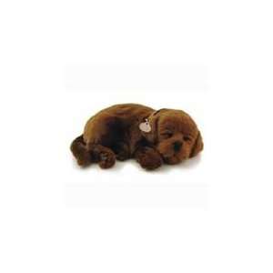 Perfect Petzzz Chocolate Lab Pet that Actually Breathe, Handcrafted in 