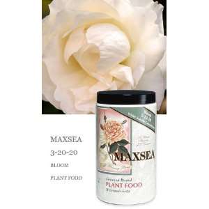  MaxSea 3 20 20 6 lb Seaweed Bloom Plant Food Fertilizer 