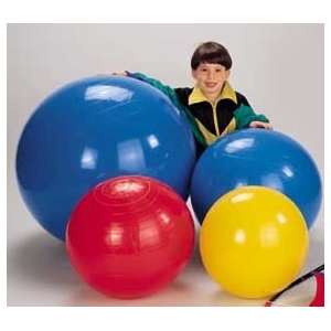 22 Inch Tumble Ball