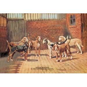  Welsh Hounds 16X24 Giclee Paper