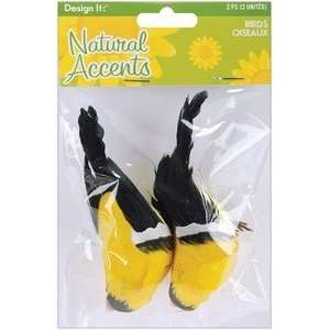  Natural Accents Feather Finch 3.5 2/Pkg Yellow/Black 