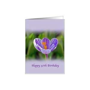 97th Birthday, Religious, Crocus Flower Card Toys & Games