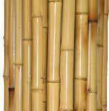 New Bamboo Fence Commercial Grade 3/4 8 x 8 Fencing  