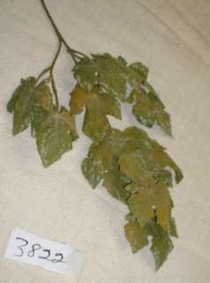 Moss Green Aged Silk Maple Leaf Spray x11 leaves 5688  