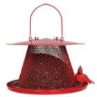 Steel Bird Feeder  