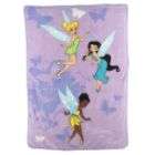 Disney Tinkerbell And Fairies Butterfly Micro Raschel Twin Blanket