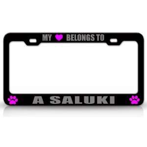 MY HEART BELONGS TO A SALUKI Dog Pet Steel Metal Auto License Plate 