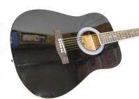 Maestro Acoustic Guitar by Gibson    