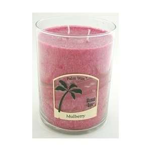   Wax Candles   Mulberry   Nature Scented Two Wick Jars 15 oz 70 Hours