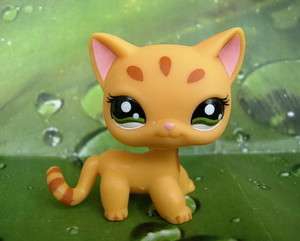 LITTLEST PET SHOP Yellow Tiger Cat Green Eyes #1377  