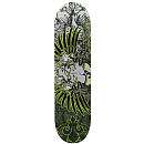 Avigo 31 inch Skateboard   Loyalty