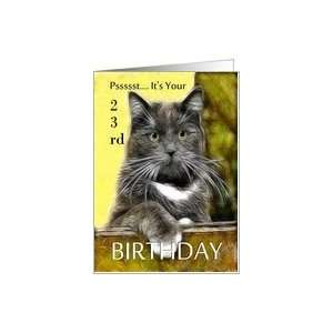    Birthday ~ Age Specific 23rd ~ Cat in a box Card Toys & Games