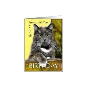    Birthday ~ Age Specific 78th ~ Cat in a box Card Toys & Games