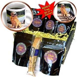   Golden Retriever   Golden Retriever   Coffee Gift Baskets 