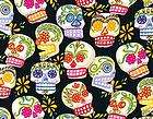 DAY OF THE DEAD PASEO DE LOS MUERTOS FABRIC 12 yd Available TURQUOISE
