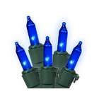 Sienna Set of 100 Blue LED Mini Christmas Lights   Green Wire