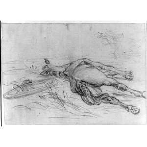  Sketch of a dead horse