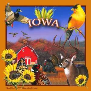  Iowa Absorbent Coasters