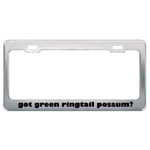 Got Green Ringtail Possum? Animals Pets Metal License Plate Frame 