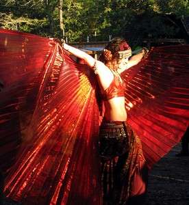 New Red Lame Custome Bellydance Isis Wings  