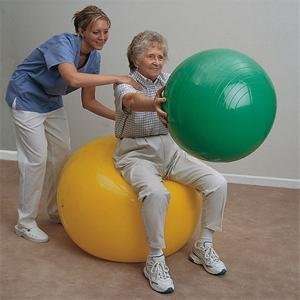    S&S Worldwide 25 1/2 Exercise/Therapy Ball