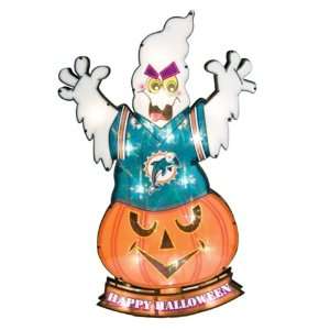  Miami Dolphins Lighted Lawn Halloween Decoration Sports 