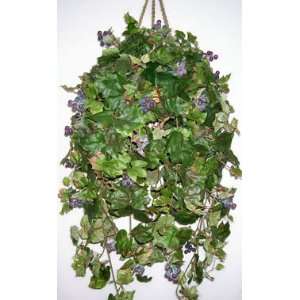  Large Grape Leaf Ivy Hanging Basket