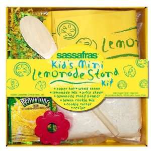 Sassafras Kids Lemonade Stand Kit  Grocery & Gourmet Food