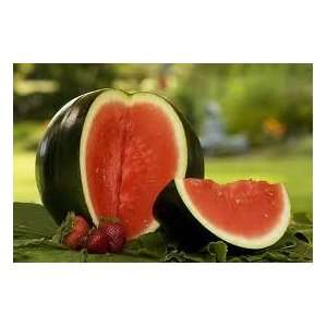  Sugar Baby Watermelon Seeds 25+ Summer Picnic Must Have 