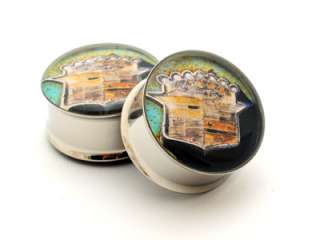 Pair of Junkyard Picture Plugs gauges Chz Size STYLE 10  
