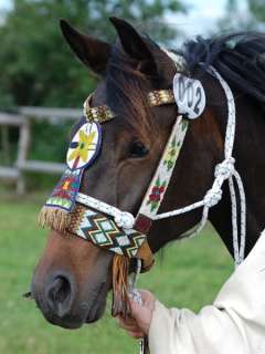 Native American Ponys in Niedersachsen   Wetschen  Pferde & Zubehör 