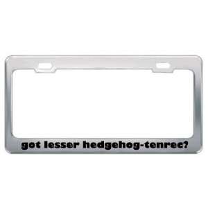 Got Lesser Hedgehog Tenrec? Animals Pets Metal License Plate Frame 