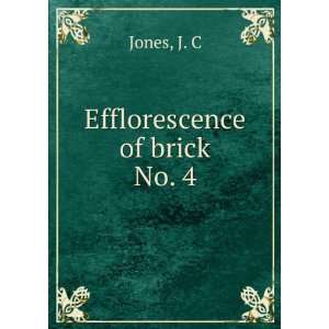  Efflorescence of brick. No. 4 J. C Jones Books