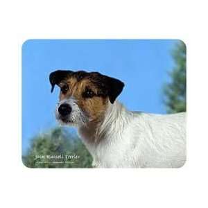  Jack Russell Terrier Coasters Patio, Lawn & Garden