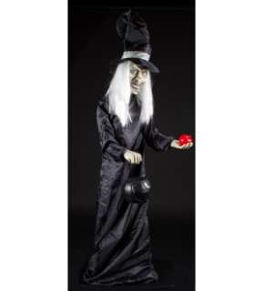 Halloween Scary Witch 5 Animatronic Prop Decoration  