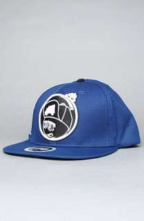 TRUKFIT The Feelin Spacey Snapback Cap in Blue  Karmaloop 