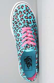 Vans Footwear The Authentic Lo Pro Sneaker in Blue and Pink Cheetah 