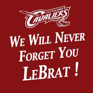 LeBron James T Shirt * Cleveland, Sports, Funny NBA  