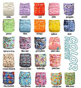 10 Snap AIO Baby Cloth Diapers nappies +10 Inserts  