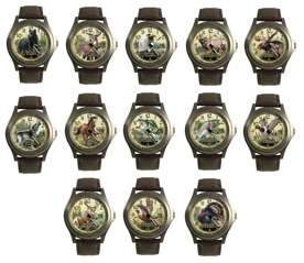 American Expedition Sports Wrist Watch ~ 13 Designs  