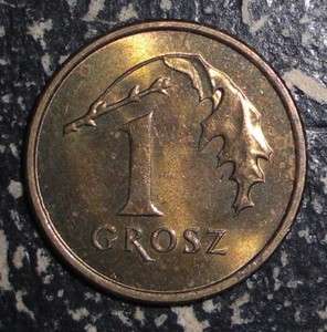 Poland 1 grosz Eagle bird animal coin  