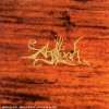 Ashes Against the Grain Agalloch  Musik