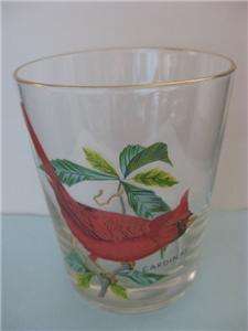 Lovely Wild Bird CARDINAL 14oz Drink Glass Gold Rim  
