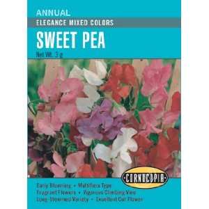 Sweet Pea Old Spice Blend Seed on PopScreen