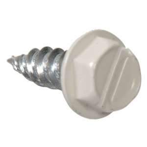   White Gutter and Stovepipe Assembly/Repair Screw